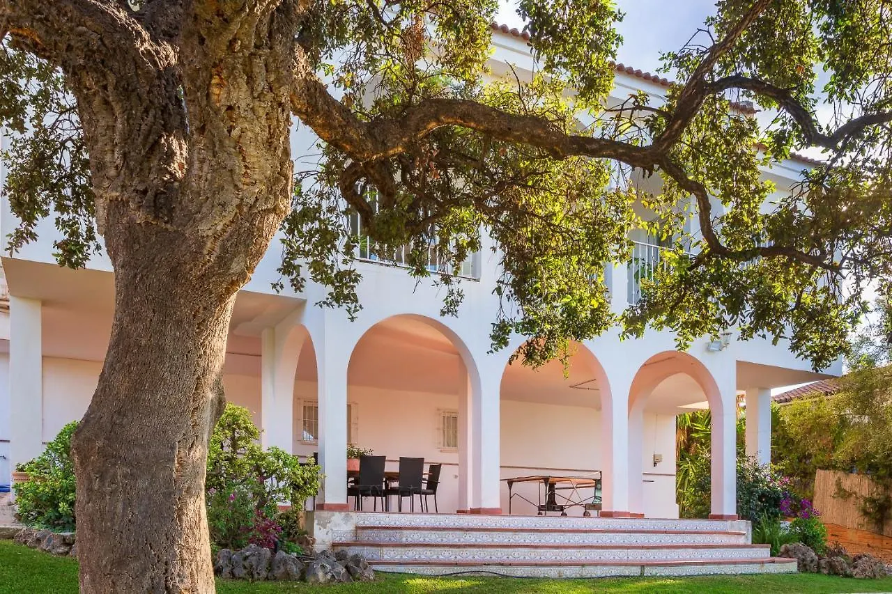 Lovely Home Las Mananas - Piscina, Barbacoa Y Vistas Ideal Familias 阿尔豪林德拉托里